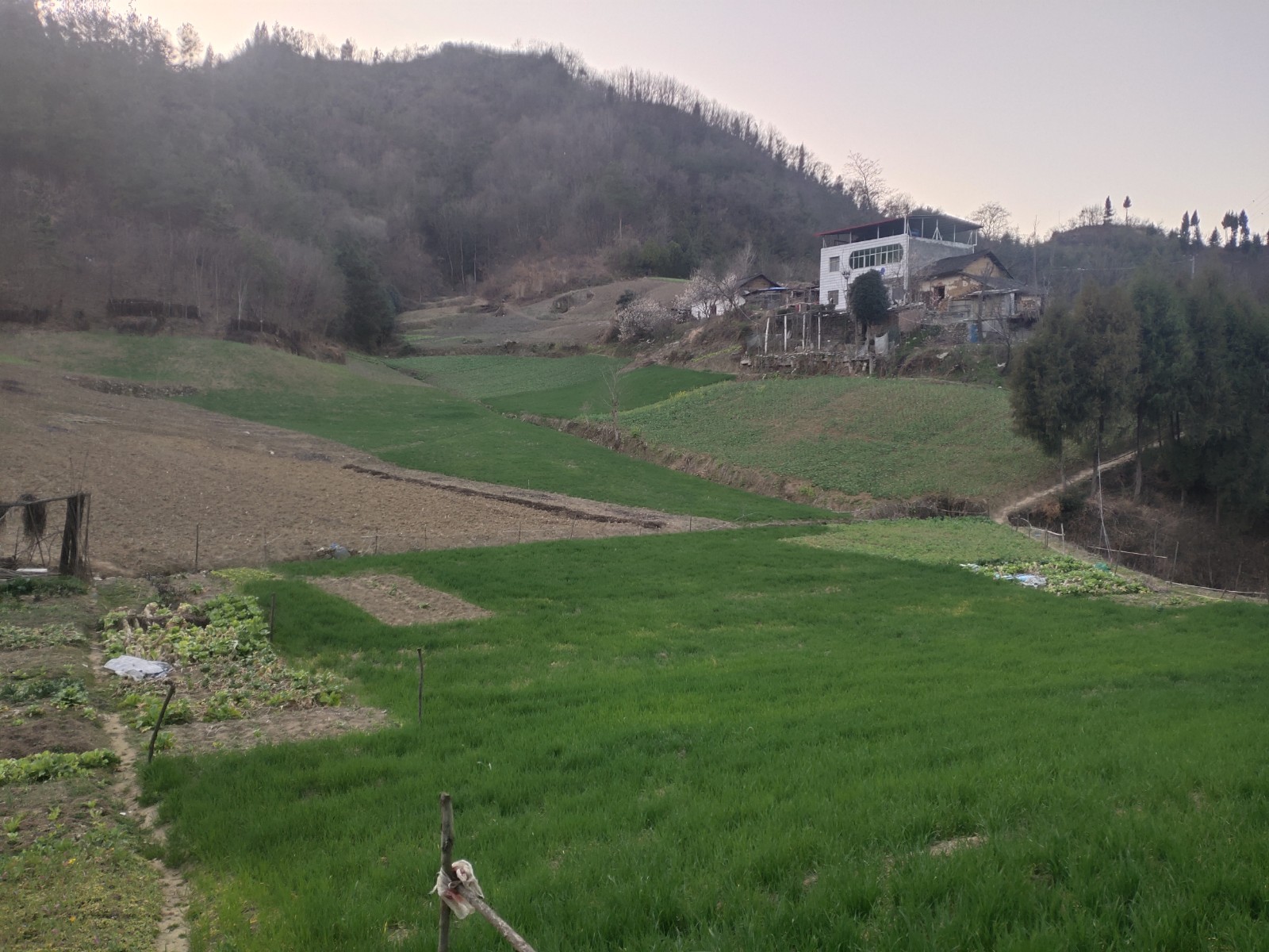 胡家营镇水利建设