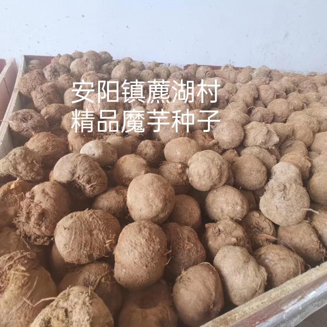 五县农产品信息