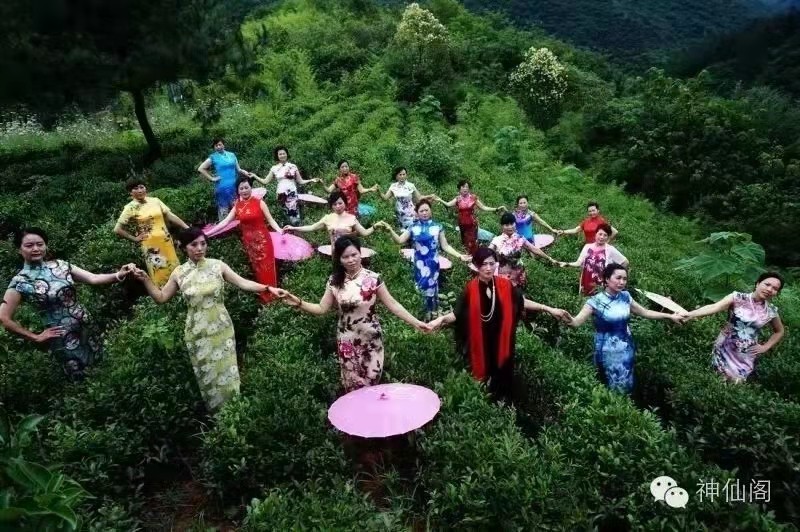 胡家营镇适宜发展哪些产业